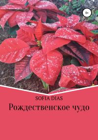 Обложка книги «Рождественское Чудо»