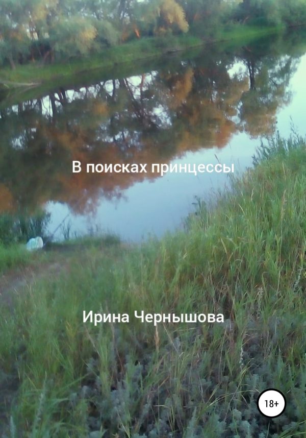 Обложка книги «В поисках принцессы»