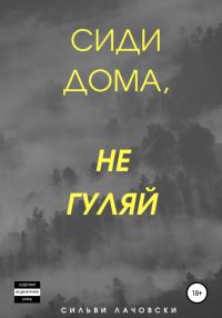 Обложка книги «Сиди дома, не гуляй»