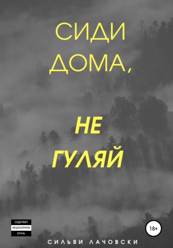 Обложка книги «Сиди дома, не гуляй»