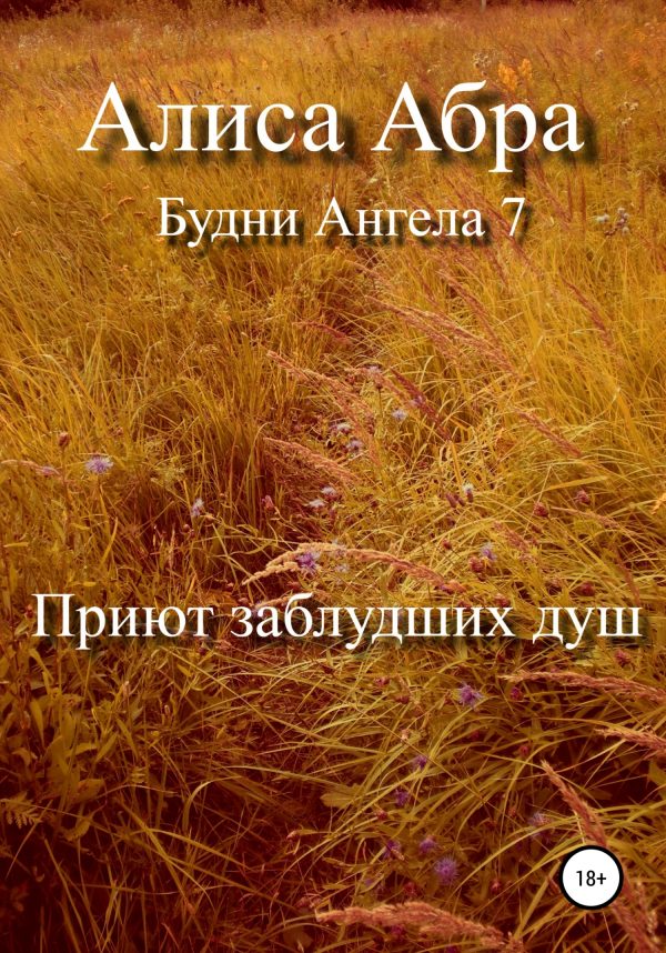 Обложка книги «Приют заблудших душ»