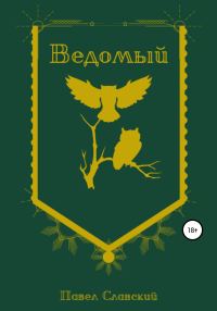 Обложка книги «Ведомый»