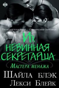 Обложка книги «Их невинная секретарша»