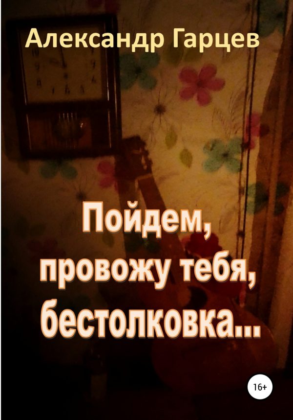 Обложка книги «Пойдем провожу тебя, бестолковка»