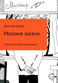 Обложка книги «Молния Жизни»
