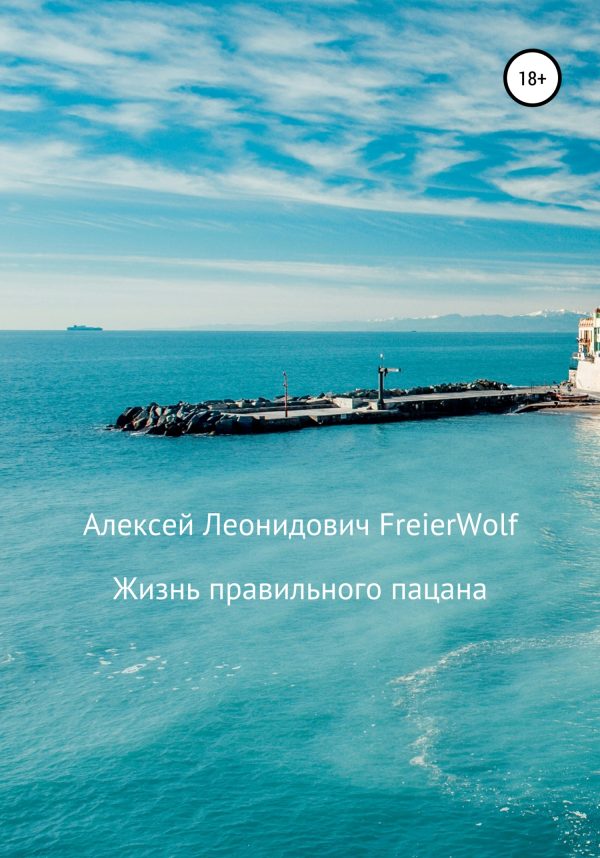 Обложка книги «Жизнь правильного пацана»