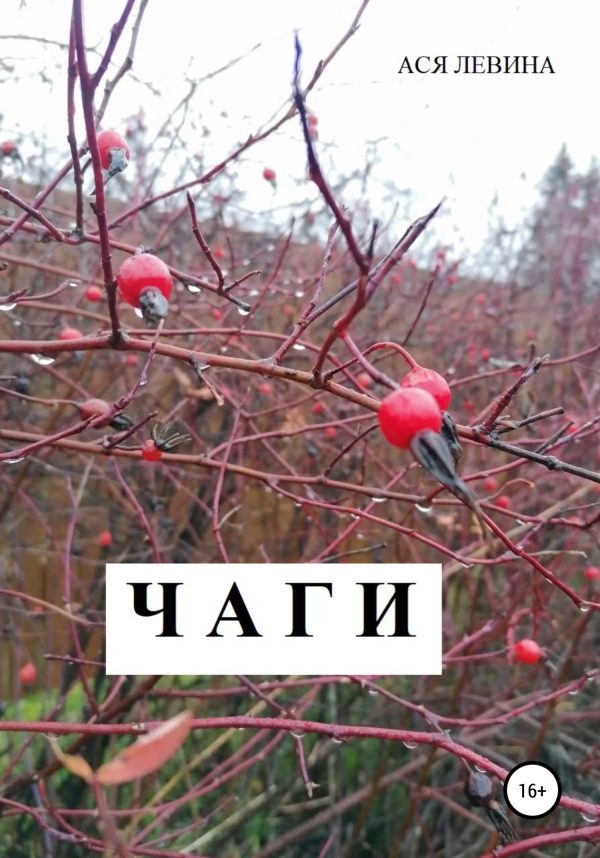 Обложка книги «Чаги»