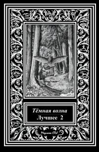 Обложка книги «Темная волна. Лучшее 2»