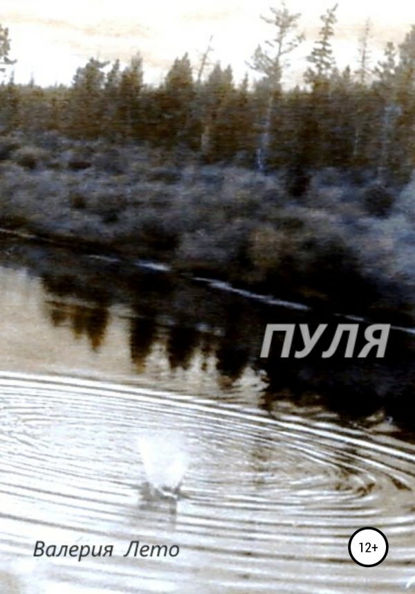 Обложка книги «Пуля»