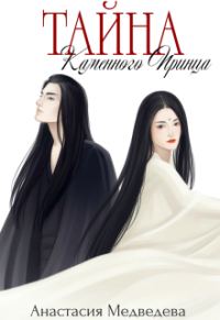Обложка книги «Тайна Каменного Принца. Том 1»