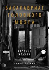 Обложка книги «Бакалавриат головного мозга»