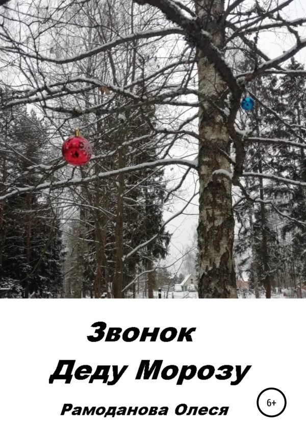 Обложка книги «Звонок Деду Морозу»