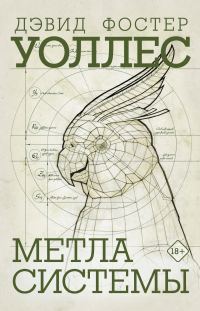 Обложка книги «Метла системы»
