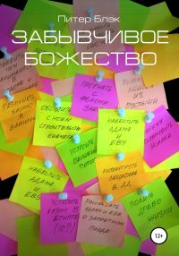 Обложка книги «Забывчивое божество»