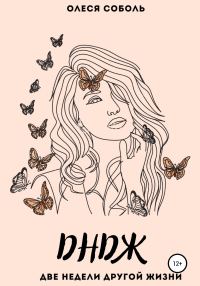 Обложка книги «ДНДЖ (две недели другой жизни)»