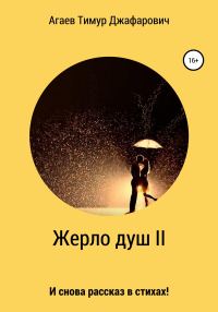 Обложка книги «Жерло душ II»