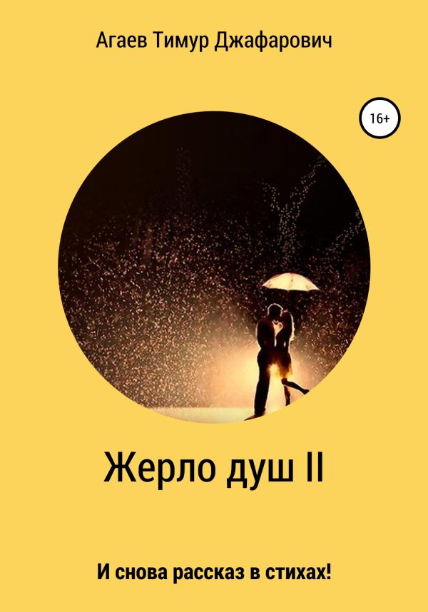 Обложка книги «Жерло душ II»