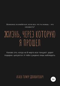 Обложка книги «Жизнь, через которую я прошел»