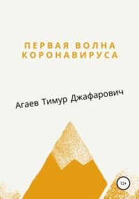Обложка книги «Первая волна Коронавируса»