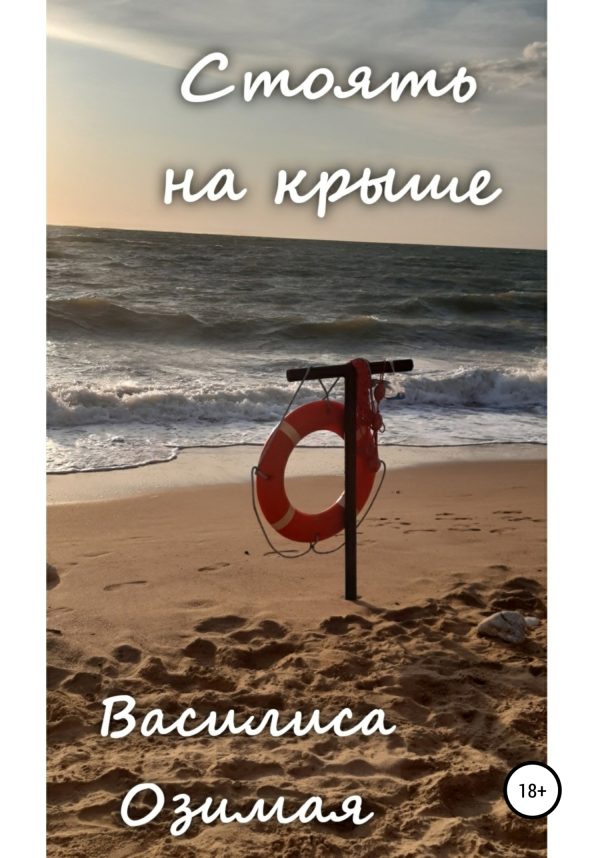 Обложка книги «Стоять на крыше»