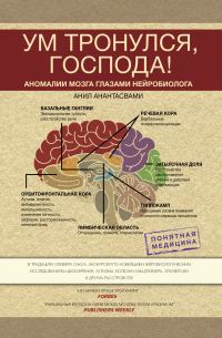 Обложка книги «Ум тронулся, господа! Аномалии мозга глазами нейробиолога»