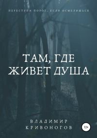 Обложка книги «Там, где живет душа»