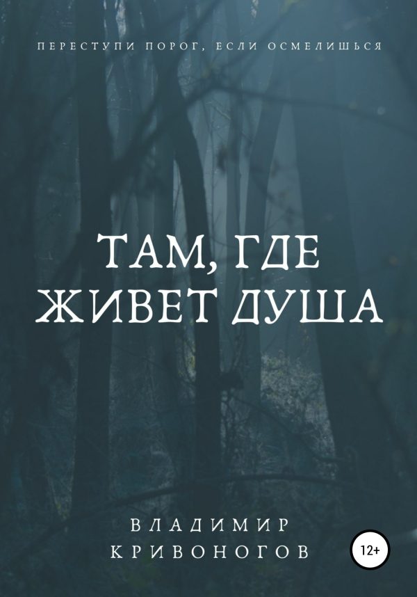 Обложка книги «Там, где живет душа»