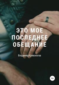 Обложка книги «Это мое последнее обещание»