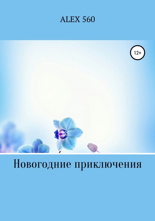 Обложка книги «Новогодние приключения»