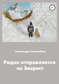 Обложка книги «Родик отправляется на Эверест»