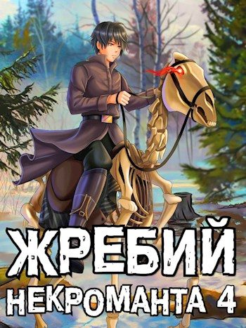 Обложка книги «Жребий некроманта #4»