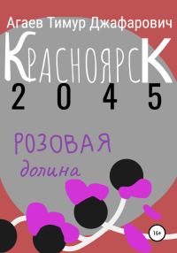 Обложка книги «Красноярск 2045: Розовая долина»