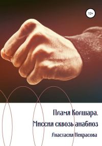 Обложка книги «Пламя Колшара. Миссия сквозь анабиоз»