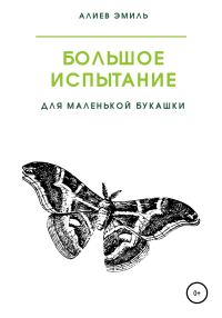 Обложка книги «Большое испытание для маленькой букашки»