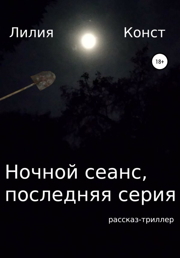 Обложка книги «Ночной сеанс, последняя серия»