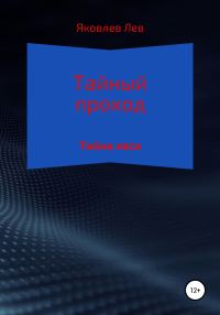 Обложка книги «Тайный проход»