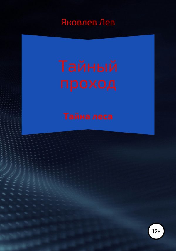Обложка книги «Тайный проход»