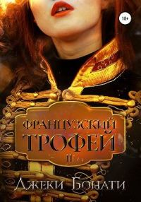 Обложка книги «Французский Трофей 2. После войны»