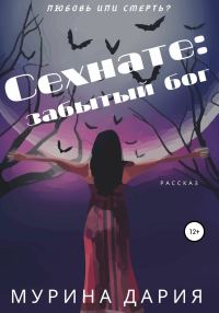 Обложка книги «Сехнате: забытый бог»