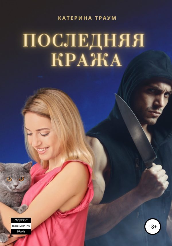 Обложка книги «Последняя кража»