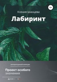 Обложка книги «Лабиринт»