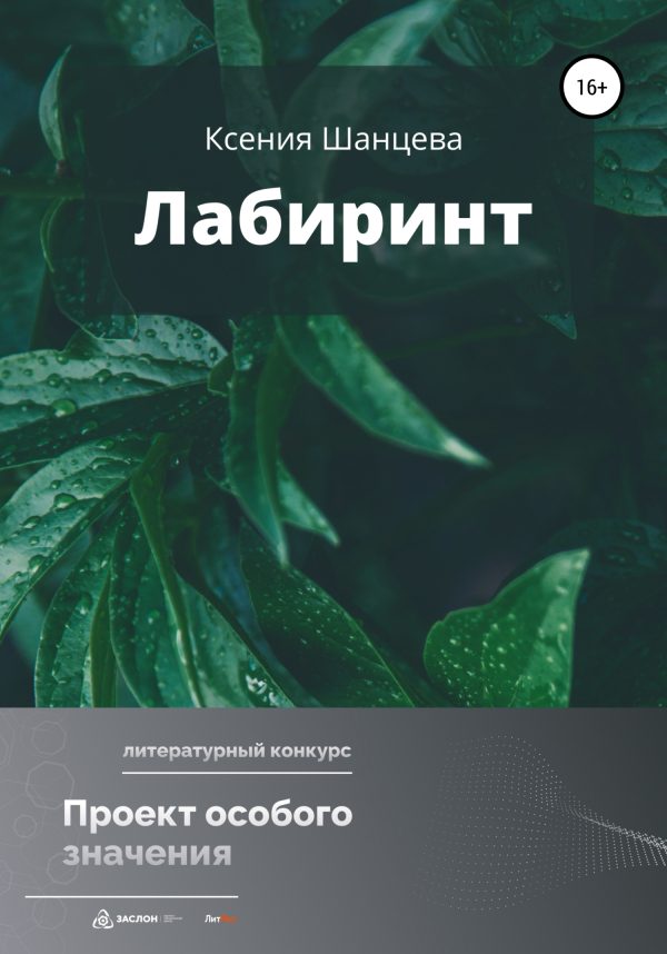 Обложка книги «Лабиринт»