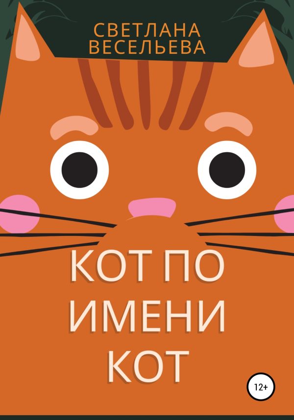Обложка книги «Кот по имени Кот»