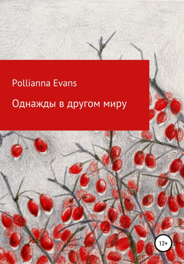 Обложка книги «Однажды в другом миру»