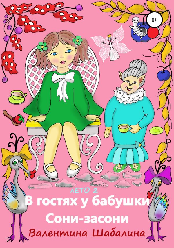 Обложка книги «В гостях у бабушки Сони-засони»
