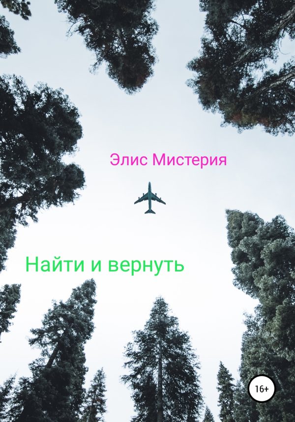 Обложка книги «Найти и вернуть»
