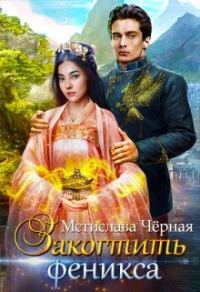 Обложка книги «Закогтить феникса»