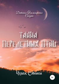 Обложка книги «Тайна Перелётных Птиц»