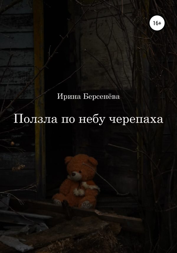 Обложка книги «Ползла по небу черепаха»