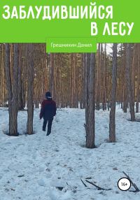 Обложка книги «Заблудившийся в лесу»